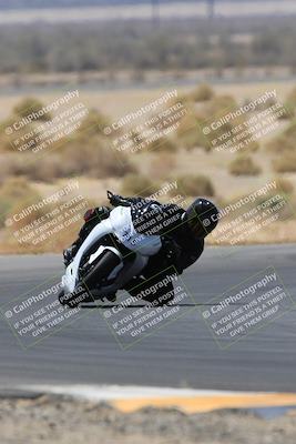 media/May-14-2023-SoCal Trackdays (Sun) [[024eb53b40]]/Turn 5 Tree of Life (1125am)/